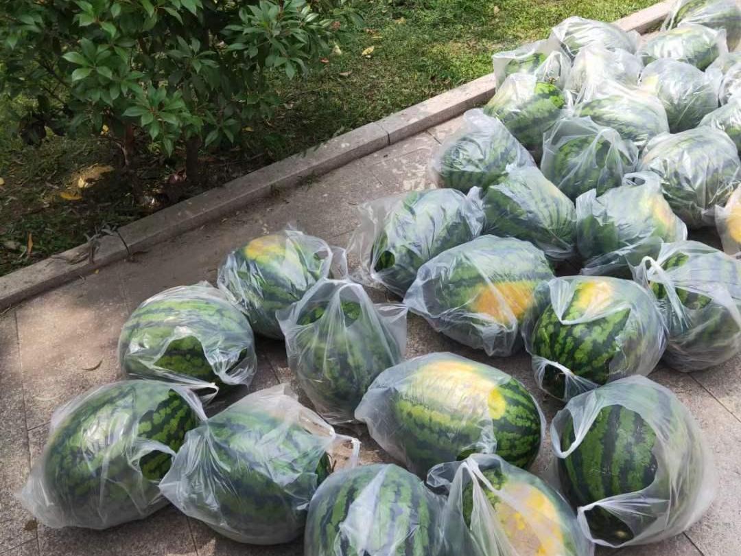 微信圖片_20210803145111